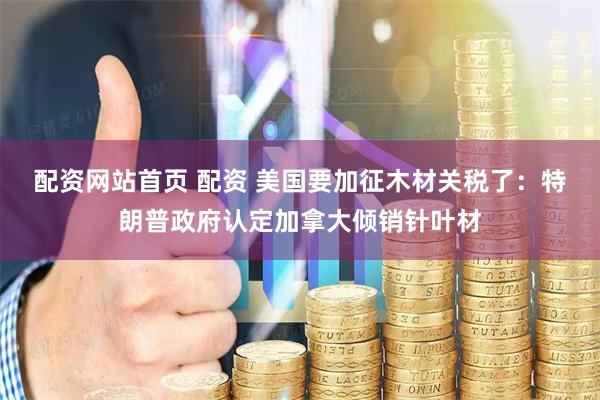 配资网站首页 配资 美国要加征木材关税了：特朗普政府认定加拿大倾销针叶材